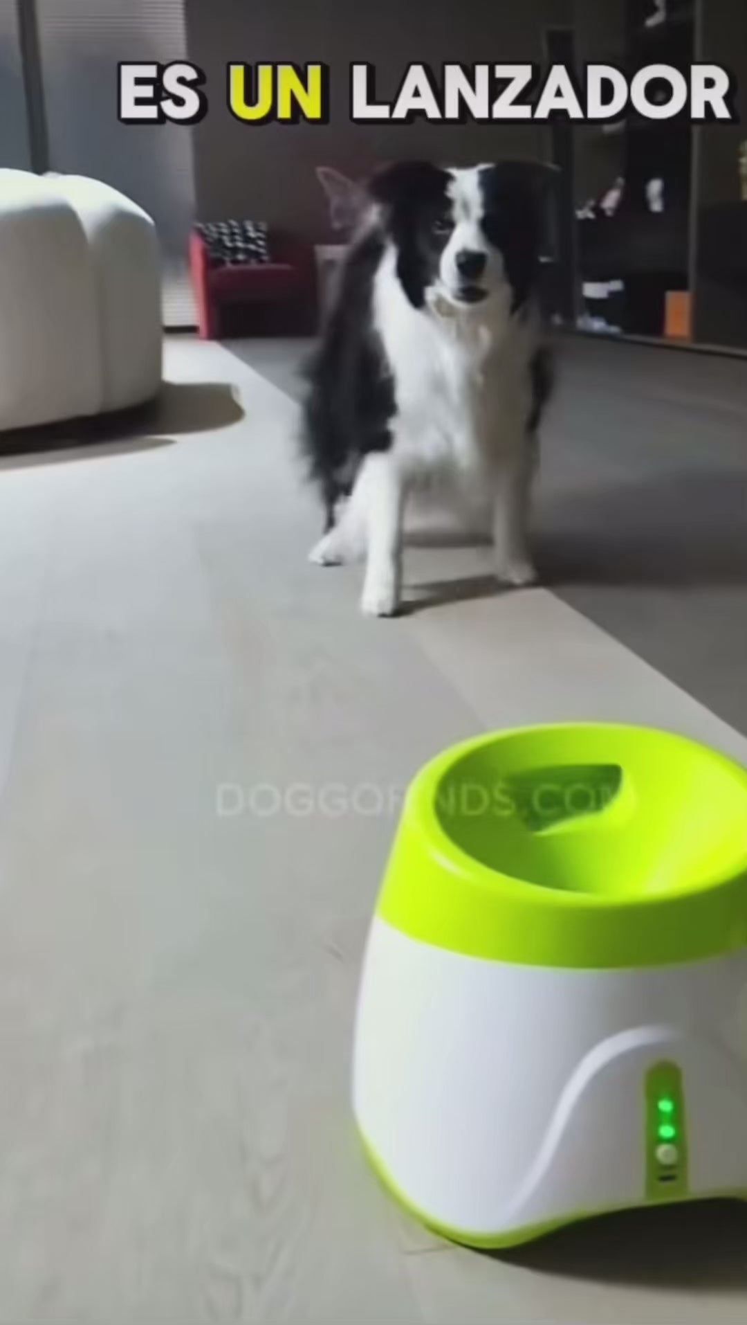FetchPro